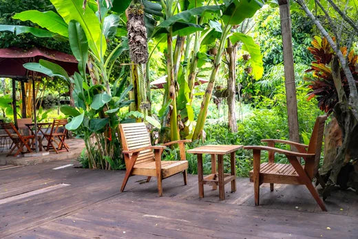 Bringing the Tropics to You: How to Choose the Right Tropical Plants for Your Space