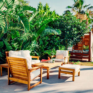 Tropical Plants