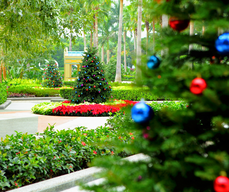 A decorated Christmas tree stands amidst lush greenery and red poinsettias in a garden, with another Christmas tree adorned with colorful ornaments in the foreground.