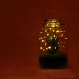 DIY terrarium - Jar Christmas