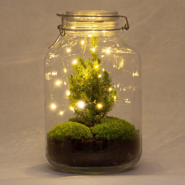 DIY terrarium - Jar Christmas