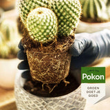 Pokon cactus & vetplant - Potgrond - 5L