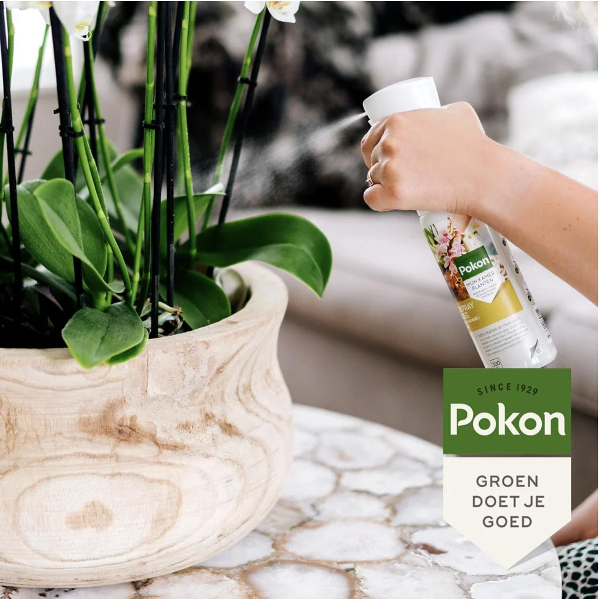 Pokon Powerspray orkidé 300 ml