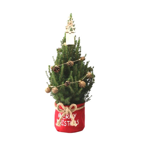 Kleine Kerstboom i Xmas Bag rød