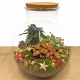 Christmas Terrarium Decoration Kit!