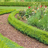 Culvita - Premium French Tree Bark Ground Cover - Decorative bark 30-40 mm - suitable for landscaping walkways