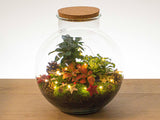 Christmas Terrarium Decoration Kit!